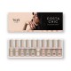 COSTA CHIC Collection (10 colours) in a box with a palette